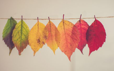 Autumn