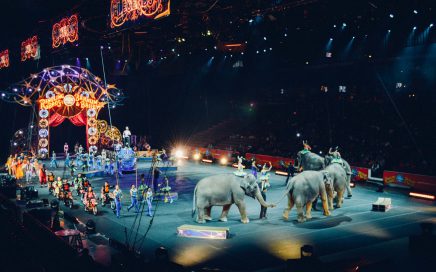 Circus