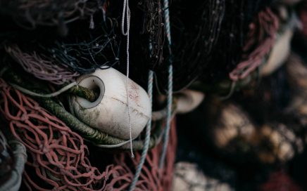 Deep Sea Fishing