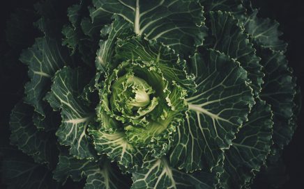 Leafy Greens