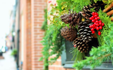 Thanksgiving and Christmas