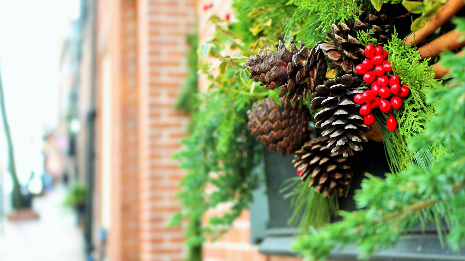 Live til Five Thanksgiving And Christmas Harvest Family Radio